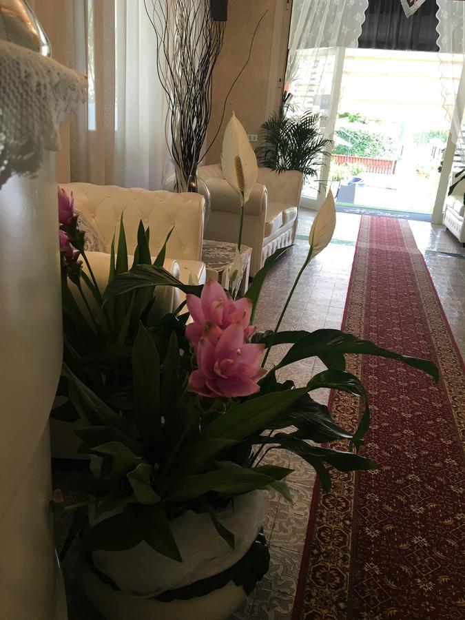Hotel Manuela チンカレ エクステリア 写真